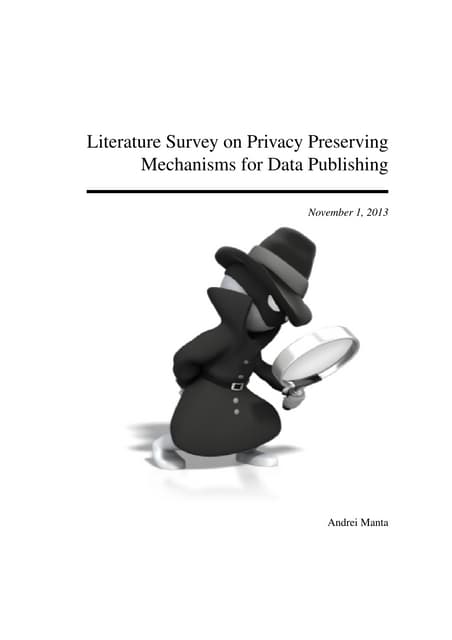 Literature survey andrei_manta_0
