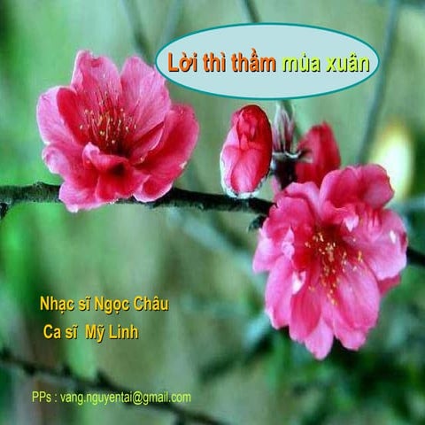 LơI Thi Tham Muaxuan Wav