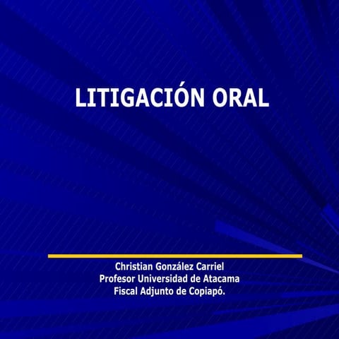 Litigación oral (teoría del caso)