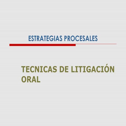 LITIGACIÓN ORAL DEL CASO
