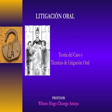 Litigación oral y teoría del caso