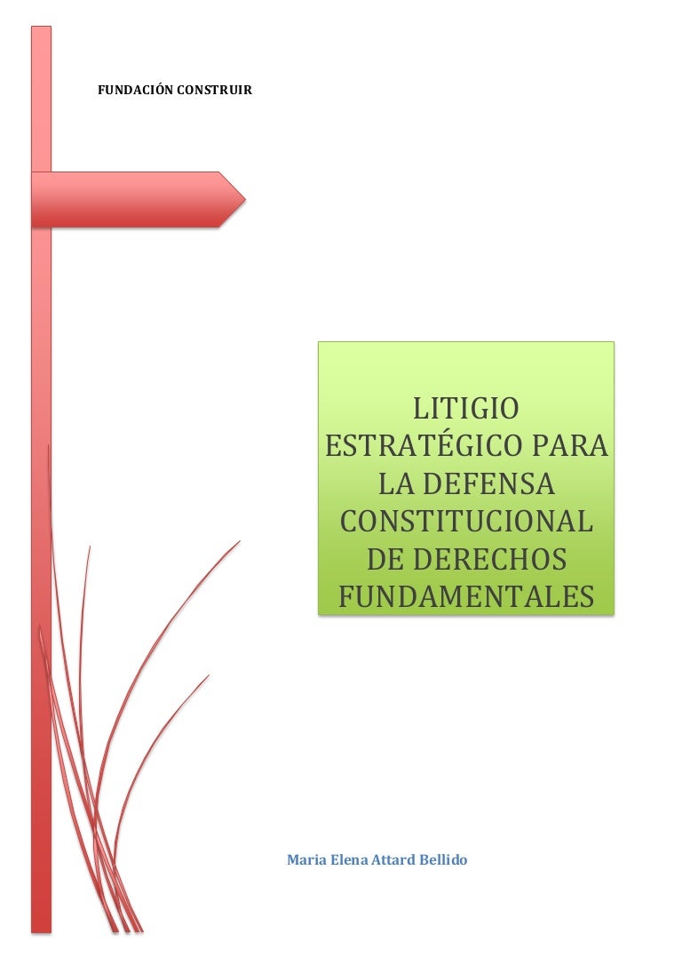 Litigio Estrategico De Derechos Fundamentales