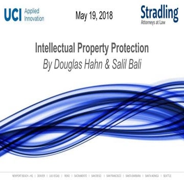 Identifying IP Assets and What Should Be Done with Them | Doug Hahn and Salil...