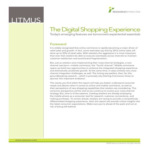 Litmus: The Digital Shopping Experience