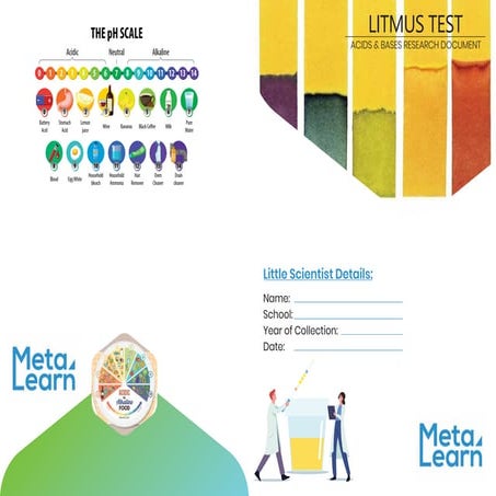 LITMUS TEST For early Years education in schools | PDF