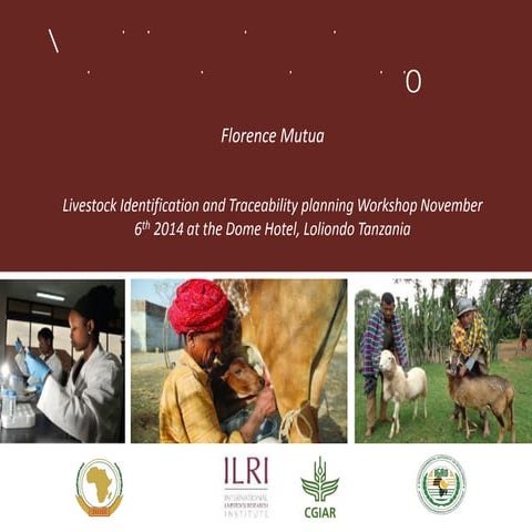 Outline of proposed livestock identification and traceability research activi...