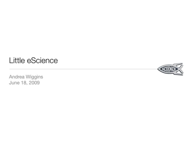 Little eScience