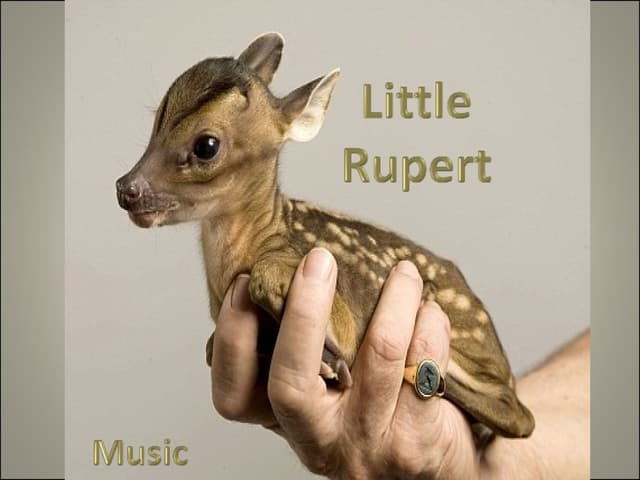 Little Rupert (Cmp)