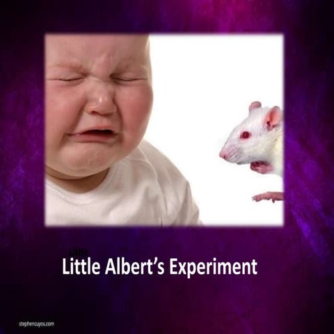 Little Albert Experiment