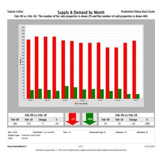 Little Elm Mkt Report Feb 2010