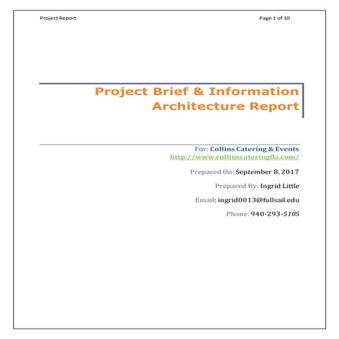 Information Architecture Report