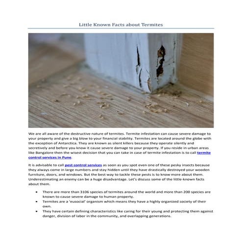 Little Known Facts about Termites.pdf