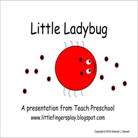 Little  Ladybug