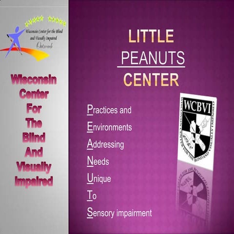 Little peanuts center presentation