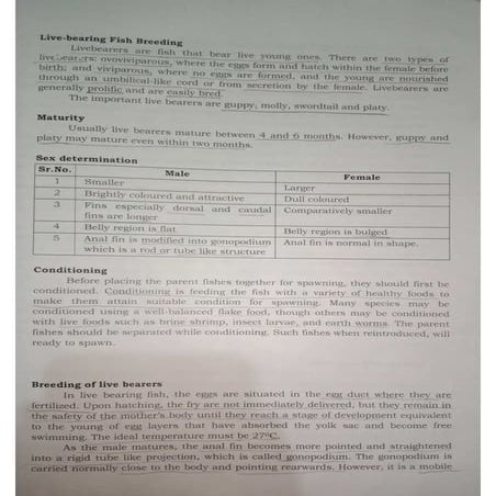 LIVE BEARING FISH BREEDING