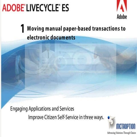 MetaOption Live cycle