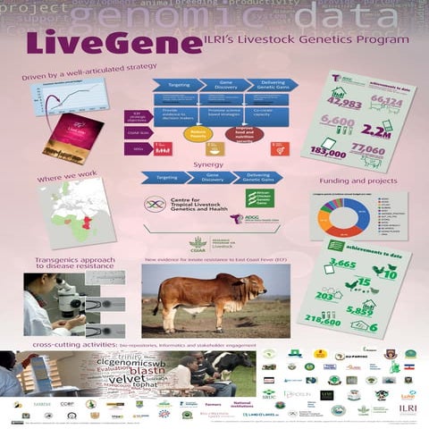 LiveGene: ILRI’s Livestock genetics program