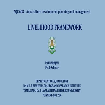 Livelihood framework 