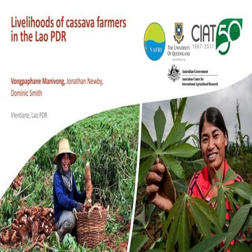 Livelihoods of cassava farmers in Lao PDR