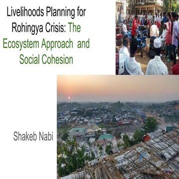 Livelihoods planning for rohingya crisis (1)