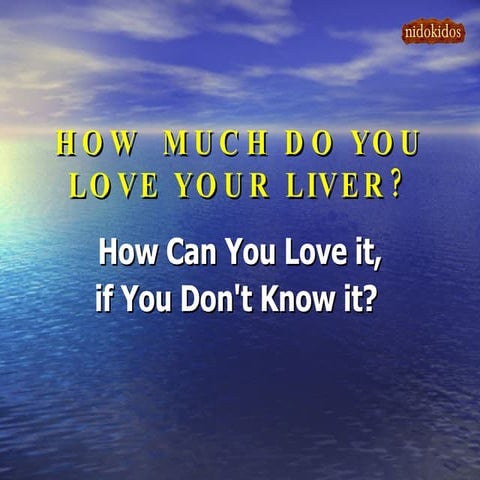 Liver