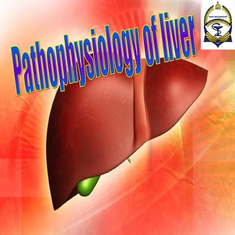 Liver