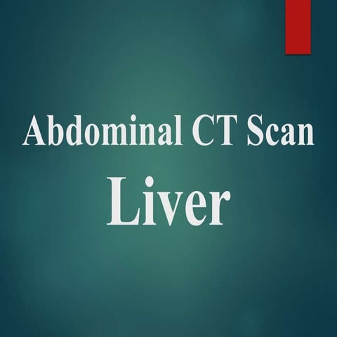 Abdomin Liver CT 