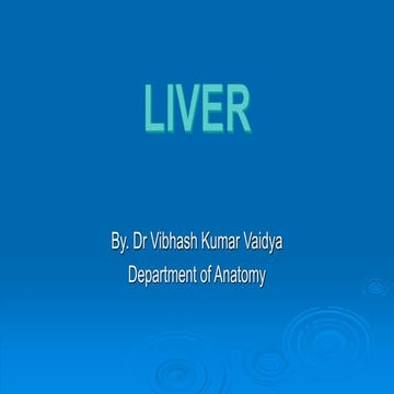 Liver