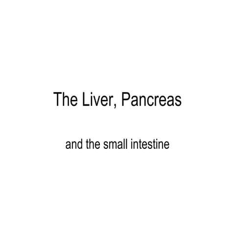 Liver And Pancreas And Small Intestine