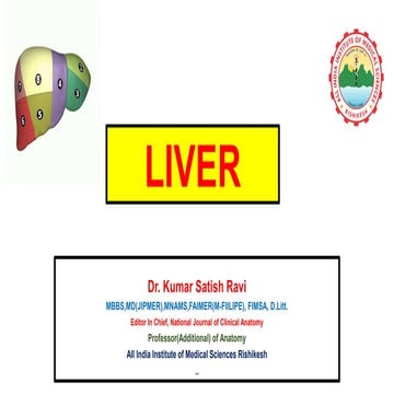 LIVER ANATOMY 