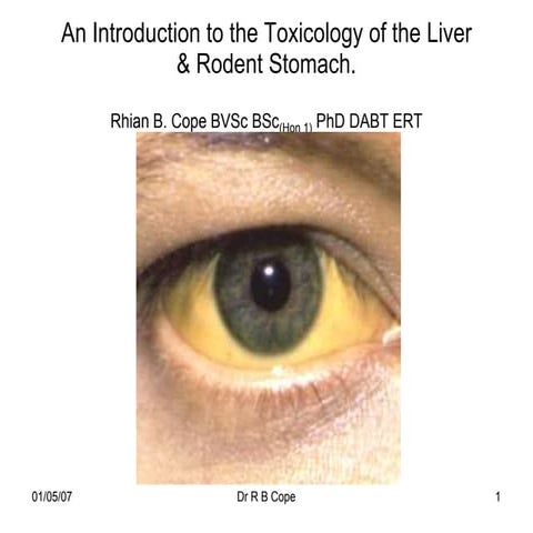 Liver nicnas-nov-2012 | PPTX