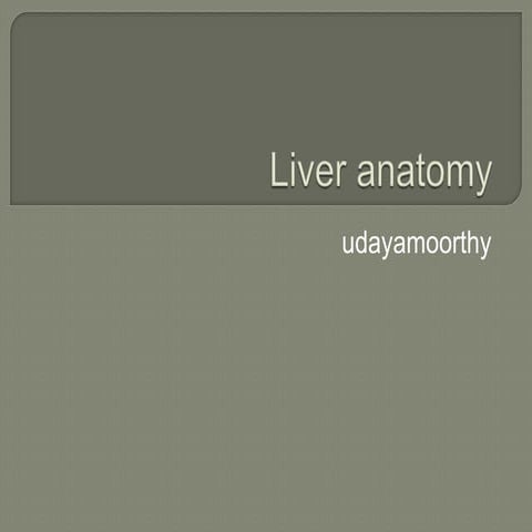 Liver anatomy