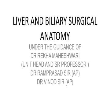 Liver and billiary anatomy
