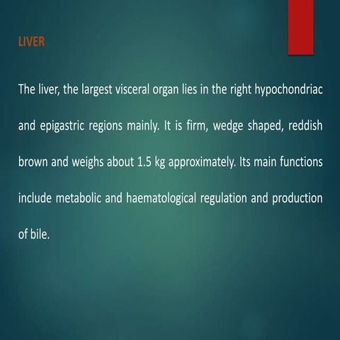 ANATOMY AND PHYSIOLOGY OF LIVER AND GALL BLADDER | PPTX