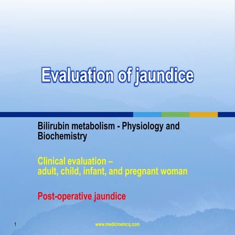 Liver Bilirubin Metabolism Jaundice 