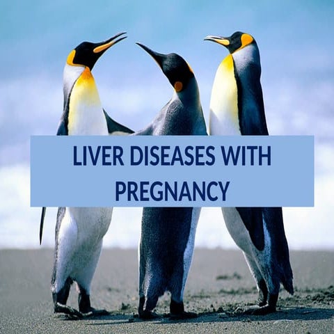 liverdiseaseswithpregnancy-191202235516.pptx