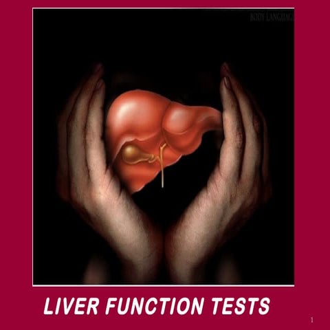 Liver function test