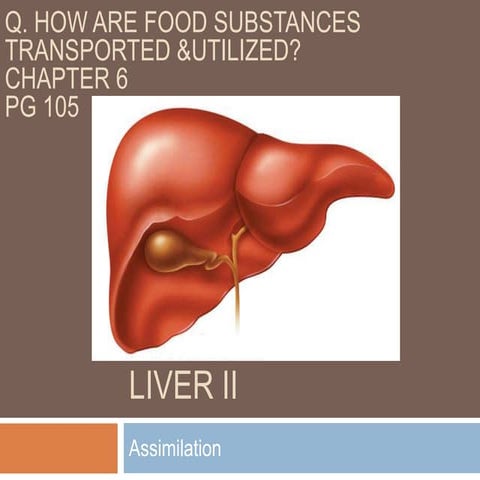 Liver II