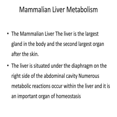 Liver metabolism.pptx