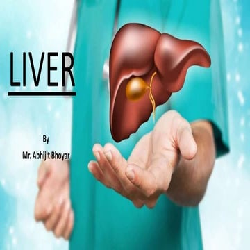 Liver visual data 7