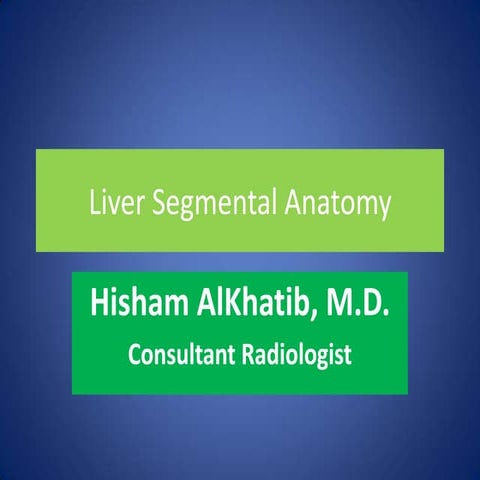 Liver segmental anatomy