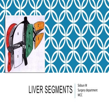 Liver segments