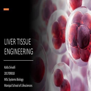 Liver tissue engineering