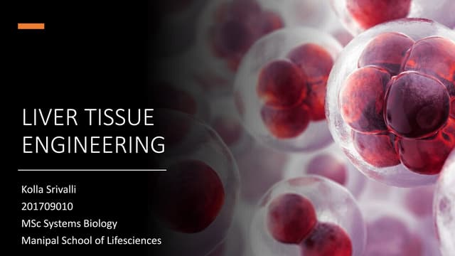 Liver tissue engineering