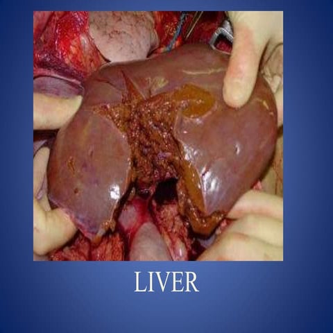 Liver trauma