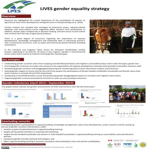LIVES gender equality strategy | PDF