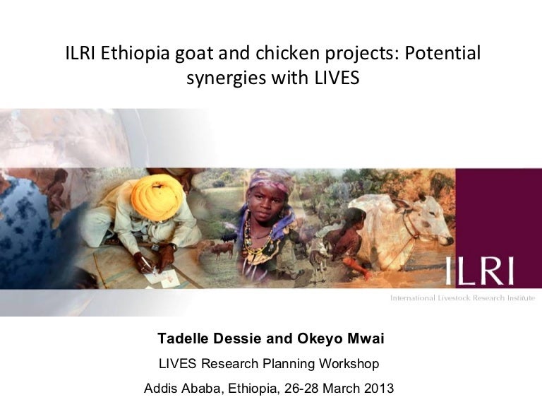 ILRI Ethiopia goat and chicken projects: Potential synergies with LIV…