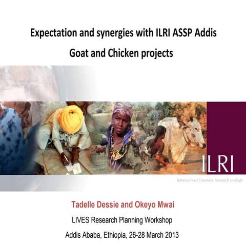 ILRI Ethiopia goat and chicken projects: Potential synergies with LIVES