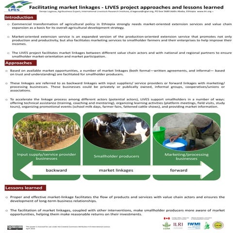 Facilitating market linkages—LIVES project approaches and lessons learned
