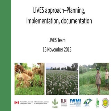 LIVES approach–Planning, implementation, documentation